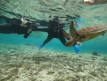 宮古島 ADVENTURE PiPi（ミヤコジマ アドベンチャー ピピ）に投稿された画像（2023/3/15）