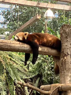 神戸どうぶつ王国に投稿された画像（2023/3/15）