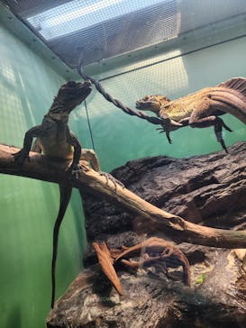 サンシャイン水族館に投稿された画像（2023/3/15）