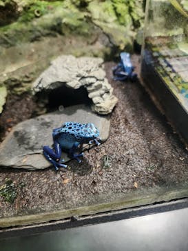 サンシャイン水族館に投稿された画像（2023/3/15）