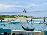 沖縄美ら海水族館に投稿された画像（2023/3/15）