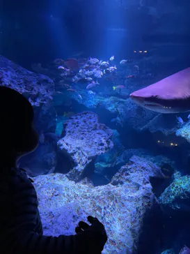 すみだ水族館に投稿された画像（2023/3/15）