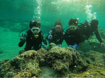 武藤潜水に投稿された画像（2023/3/15）