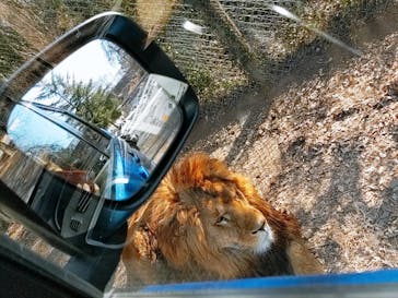 群馬サファリパークに投稿された画像（2023/3/15）