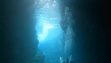 武藤潜水に投稿された画像（2023/3/16）