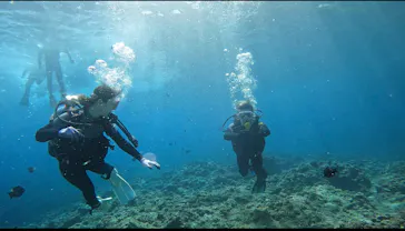 武藤潜水に投稿された画像（2023/3/16）