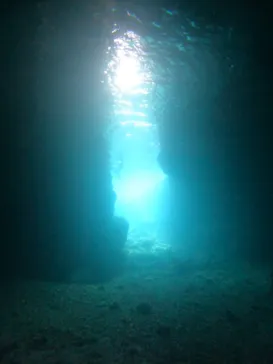 武藤潜水に投稿された画像（2023/3/16）