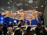 特別展「恐竜博2023」に投稿された画像（2023/3/16）