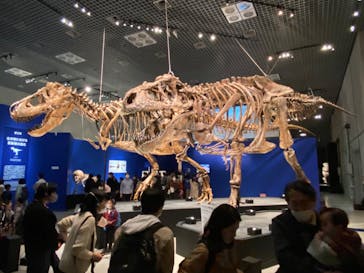 特別展「恐竜博2023」に投稿された画像（2023/3/16）