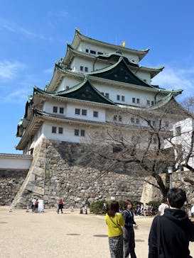 名古屋城に投稿された画像（2023/3/16）