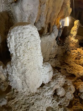 石垣島鍾乳洞に投稿された画像（2023/3/16）