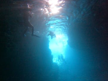 沖縄マリンサービス碧に投稿された画像（2023/3/16）