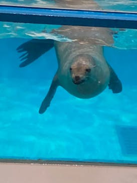 登別マリンパークニクスに投稿された画像（2023/3/16）