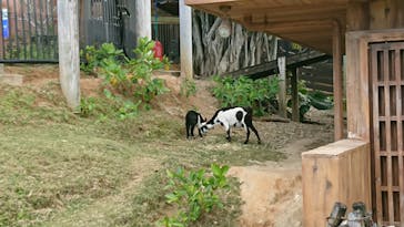 沖縄こどもの国に投稿された画像（2023/3/16）