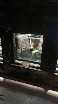 沖縄こどもの国に投稿された画像（2023/3/16）