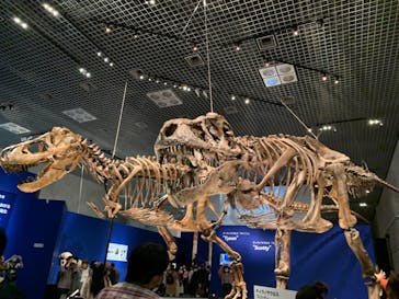 特別展「恐竜博2023」に投稿された画像（2023/3/16）