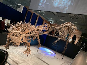 特別展「恐竜博2023」に投稿された画像（2023/3/16）