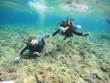 沖縄マリンサービス碧に投稿された画像（2023/3/16）