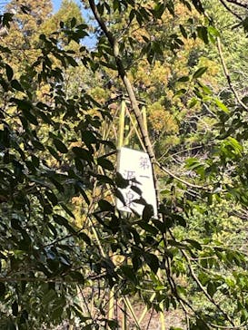 アソビュー株式会社　150881に投稿された画像（2023/3/16）