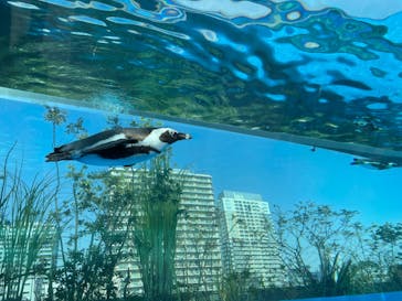 サンシャイン水族館に投稿された画像（2023/3/16）