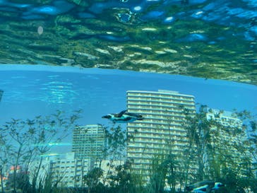 サンシャイン水族館に投稿された画像（2023/3/16）