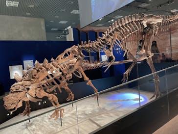 特別展「恐竜博2023」に投稿された画像（2023/3/16）