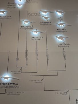 特別展「恐竜博2023」に投稿された画像（2023/3/16）