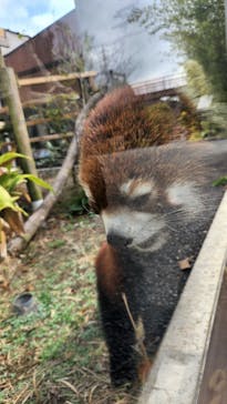 到津の森公園に投稿された画像（2023/3/16）