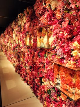 NARA KINGYO MUSEUMに投稿された画像（2023/3/16）