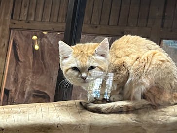 那須どうぶつ王国に投稿された画像（2023/3/16）