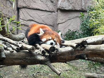 那須どうぶつ王国に投稿された画像（2023/3/16）