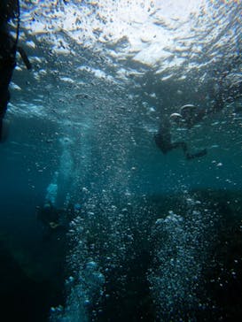 沖縄マリンサービス碧に投稿された画像（2023/3/16）