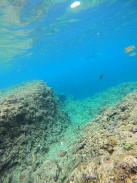 沖縄マリンサービス碧に投稿された画像（2023/3/16）