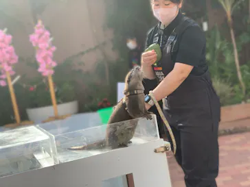 マクセル アクアパーク品川に投稿された画像（2023/3/16）