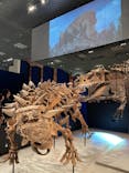 特別展「恐竜博2023」に投稿された画像（2023/3/16）