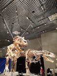 特別展「恐竜博2023」に投稿された画像（2023/3/16）