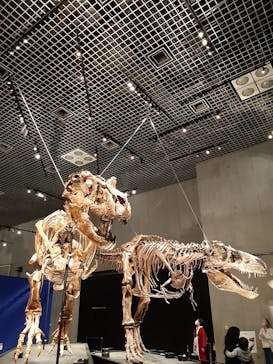 特別展「恐竜博2023」に投稿された画像（2023/3/16）