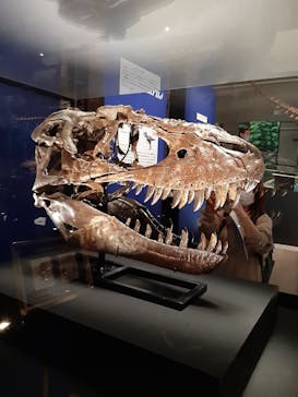 特別展「恐竜博2023」に投稿された画像（2023/3/16）