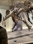 特別展「恐竜博2023」に投稿された画像（2023/3/16）