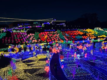 伊豆ぐらんぱる公園に投稿された画像（2023/3/16）