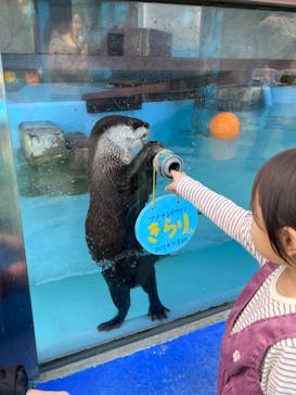 ゼロ距離水族館 伊勢シーパラダイスに投稿された画像（2023/3/16）