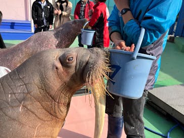 ゼロ距離水族館 伊勢シーパラダイスに投稿された画像（2023/3/16）