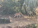 よこはま動物園ズーラシアに投稿された画像（2023/3/16）