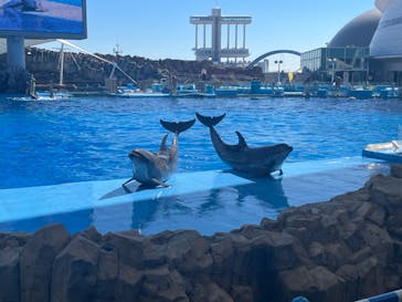 名古屋港水族館に投稿された画像（2023/3/16）