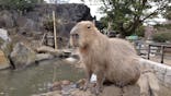伊豆シャボテン動物公園に投稿された画像（2023/3/17）