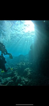 青の洞窟専門店　沖縄ダイビングショップ和に投稿された画像（2023/3/16）