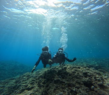 青の洞窟専門店　沖縄ダイビングショップ和に投稿された画像（2023/3/16）