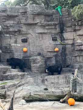 天王寺動物園に投稿された画像（2023/3/16）