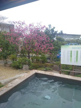 大江戸温泉物語 浦安万華郷に投稿された画像（2023/3/16）