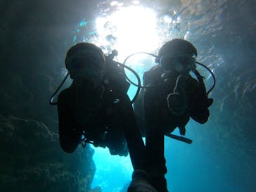 沖縄マリンサービス碧に投稿された画像（2023/3/17）